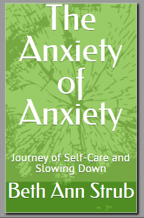 anxiety of anxiety book by Beth Ann Sturb